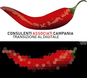 Logo Consulenti Associati Campania S.r.l.s.