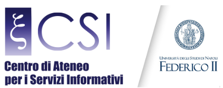 Logo CSI Università Degli studi di Napoli Federico II